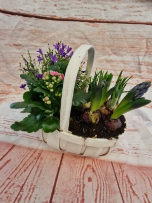 mothers day planted basket