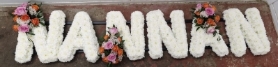 Nannan tribute